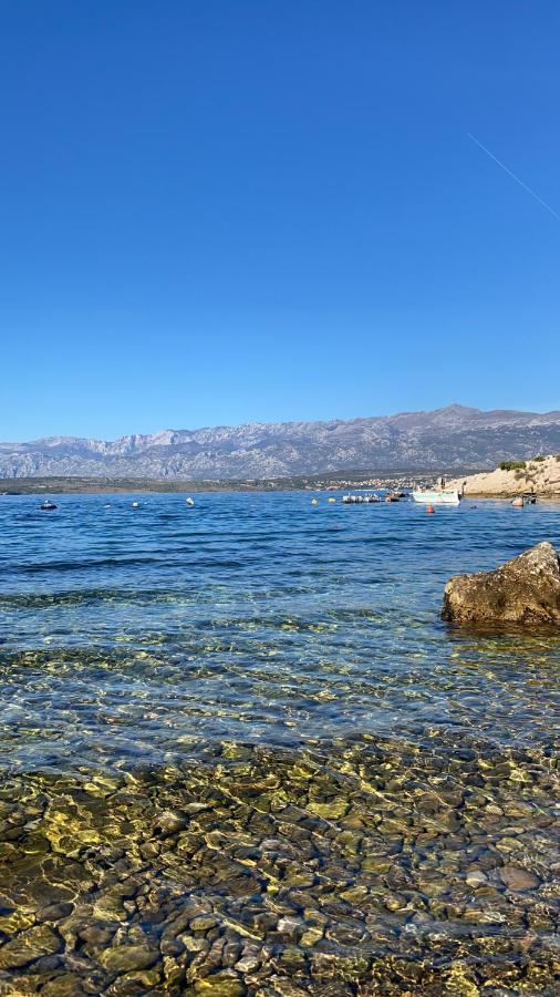 Apartments Mikecin Novigrad  Buitenkant foto