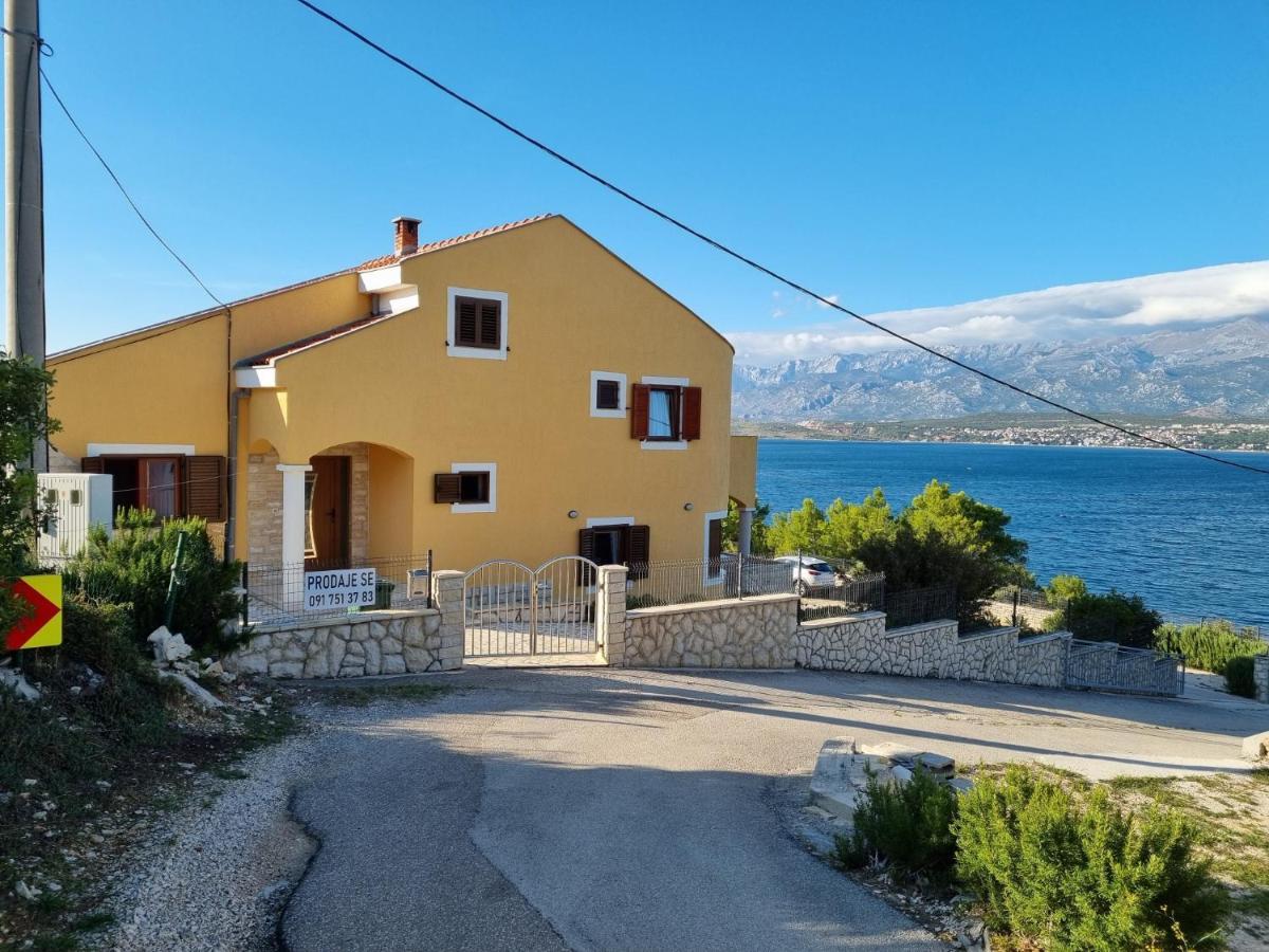 Apartments Mikecin Novigrad  Buitenkant foto