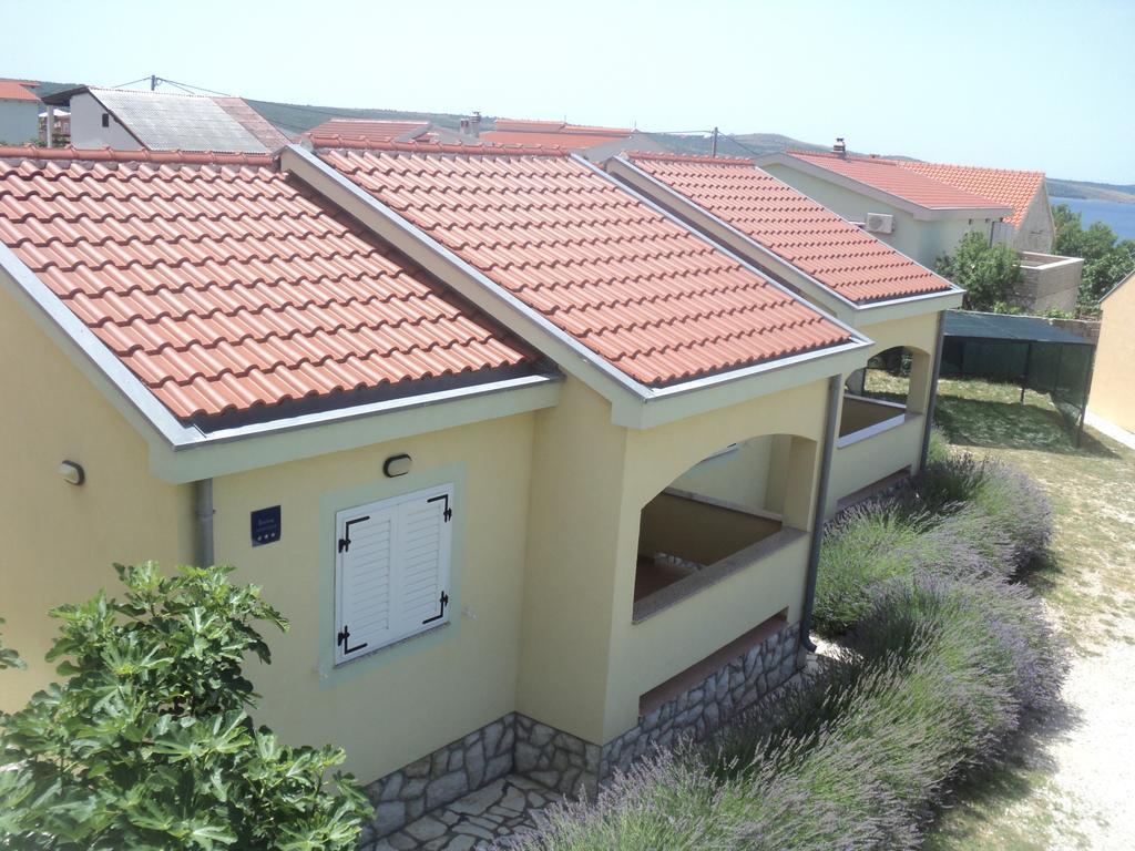 Apartments Mikecin Novigrad  Buitenkant foto